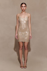 Jasmyn Hot Fix Mini Dress With Mesh Back - Nude